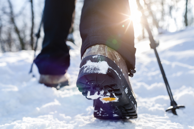Winter Wander